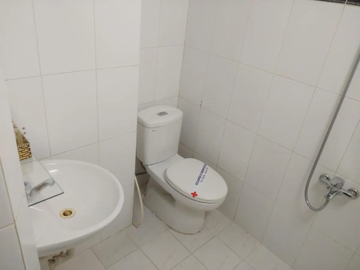 Fiona Hotel Da Nang